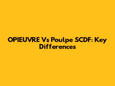 OPIEUVRE Vs Poulpe SCDF: Key Differences