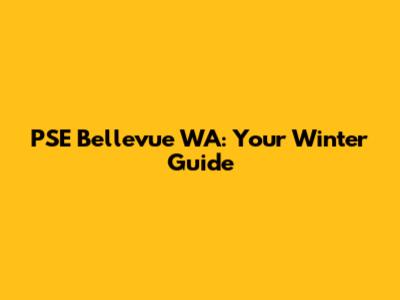 PSE Bellevue WA: Your Winter Guide